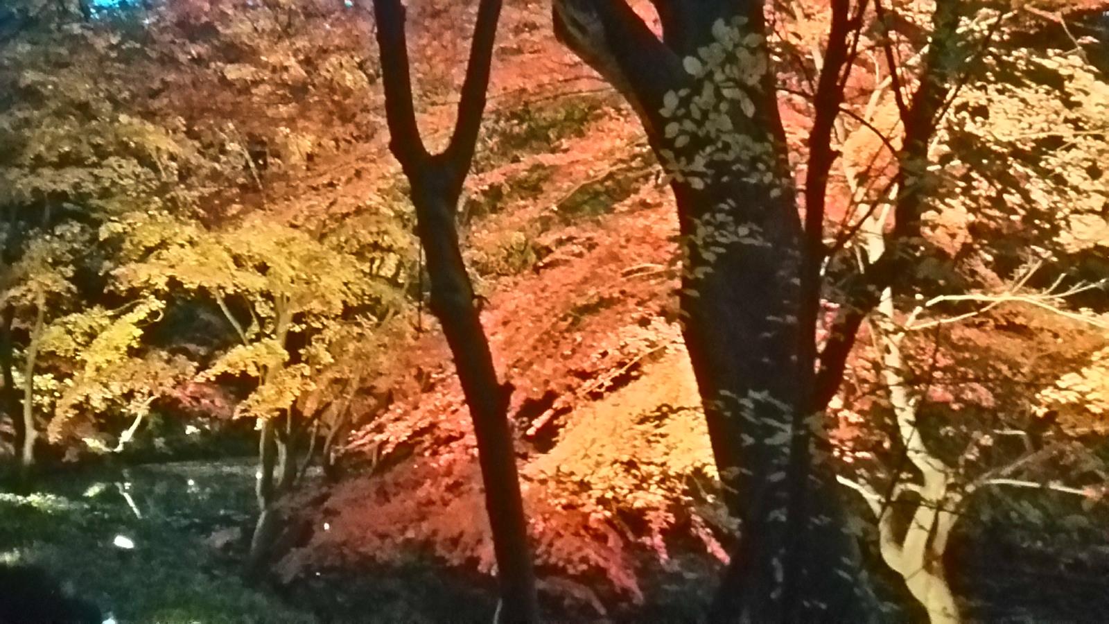 f0231709_2372274.jpg