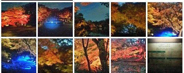 f0231709_8281971.gif