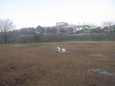 e0244621_12142974.jpg