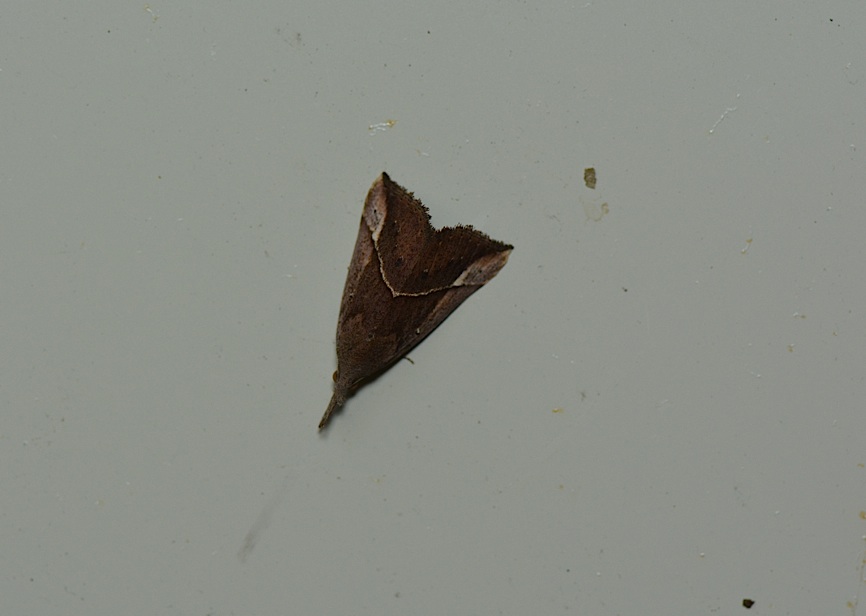 d0303129_0341076.jpg