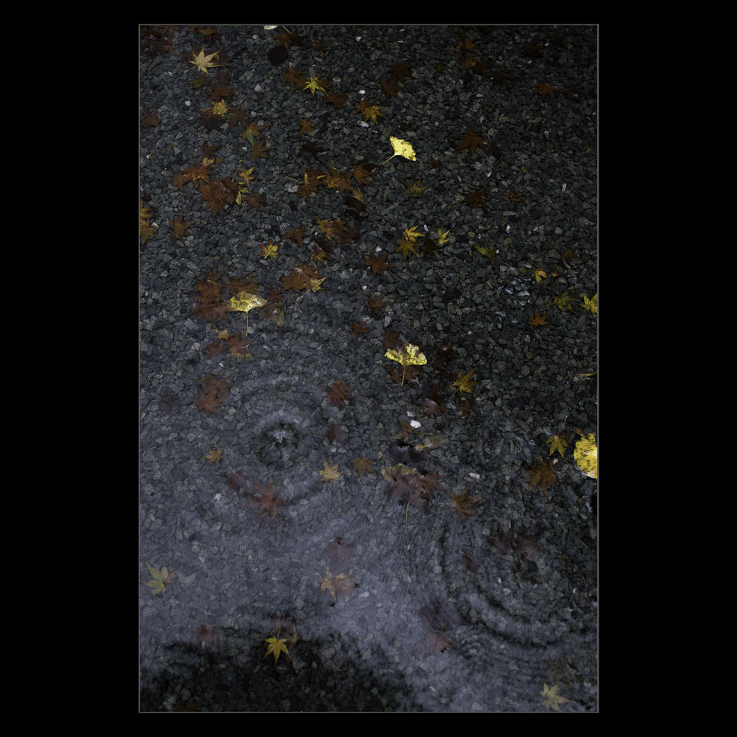 d0004832_9563377.jpg