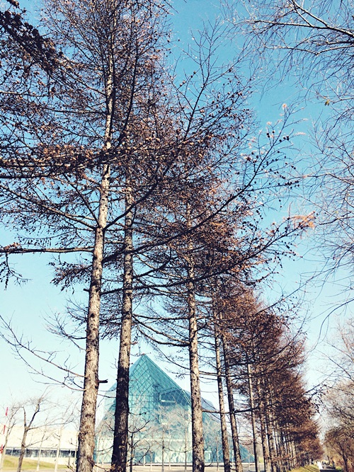 e0231332_16263522.jpg