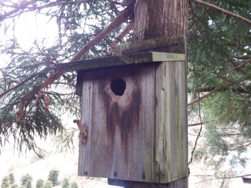 f0118332_00062012.jpg