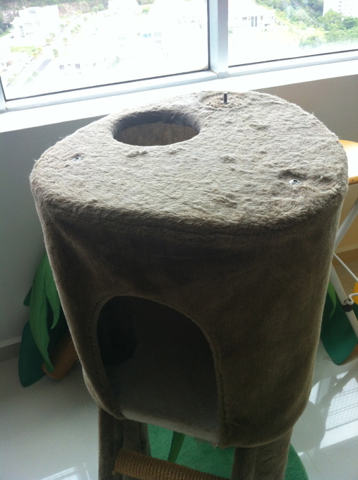 f0327233_20104462.jpg