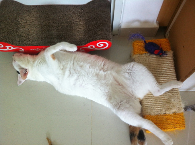 f0327233_20123295.jpg