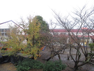 e0069234_7393067.jpg