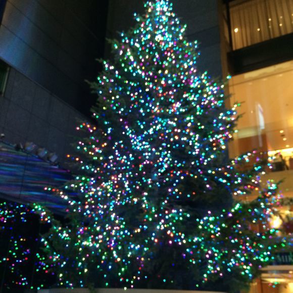 a0207736_23481861.jpg