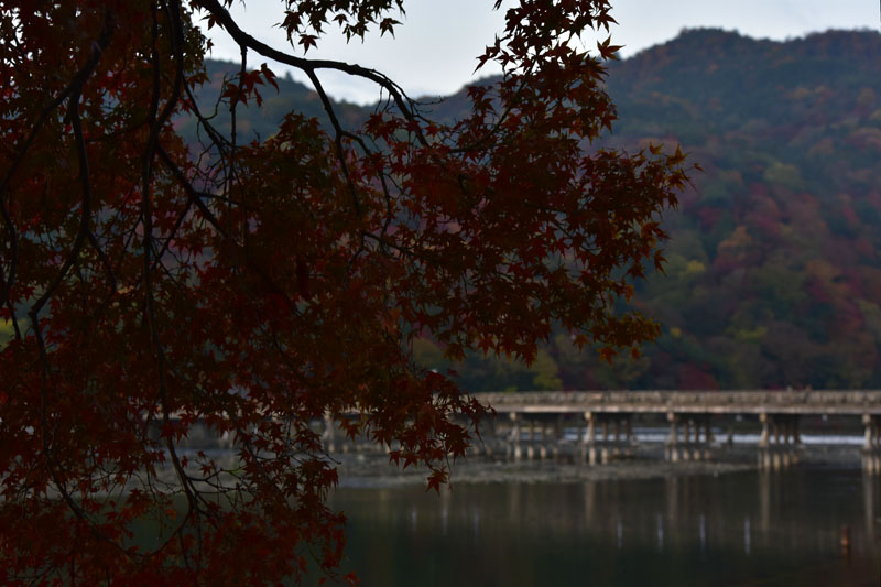 b0042837_223767.jpg