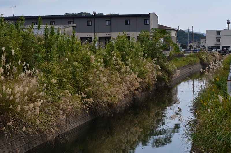 b0288942_1802569.jpg