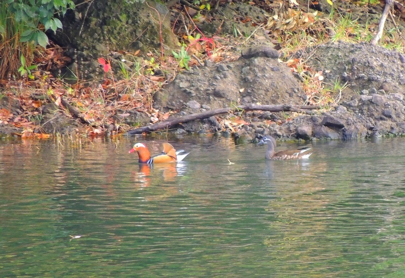 b0288942_18242051.jpg