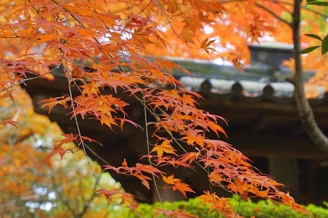 b0122448_07265831.jpg