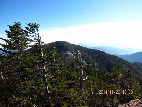b0148050_2141364.jpg