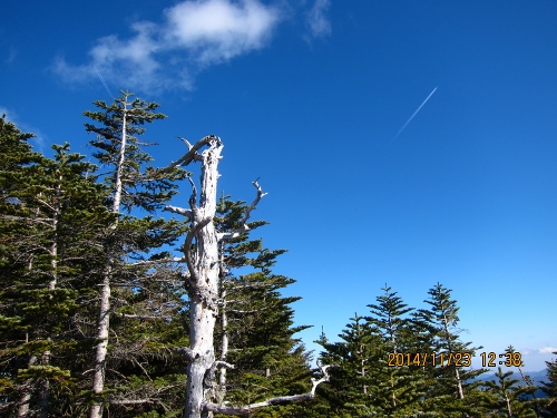 b0148050_2141686.jpg