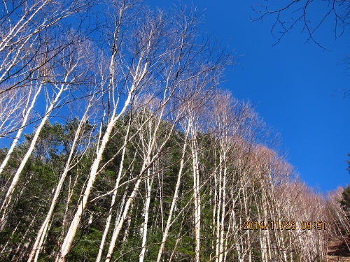 b0148050_21512717.jpg