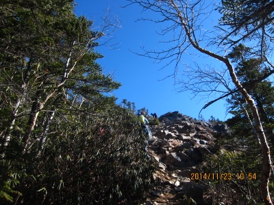 b0148050_21522482.jpg