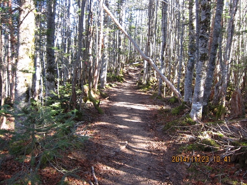 b0148050_2152959.jpg