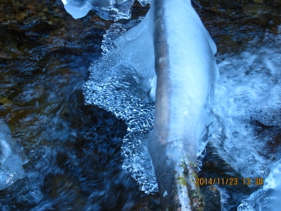 b0148050_21585584.jpg