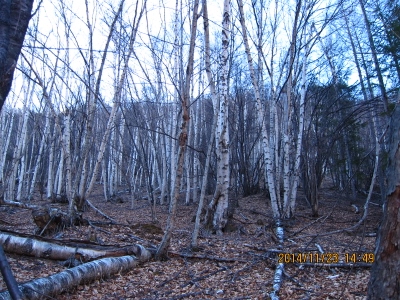 b0148050_2159754.jpg