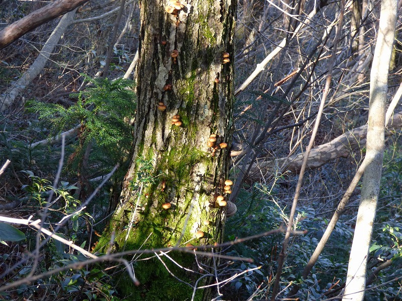 b0234354_12135571.jpg