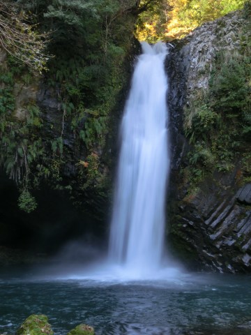 e0045768_21555353.jpg