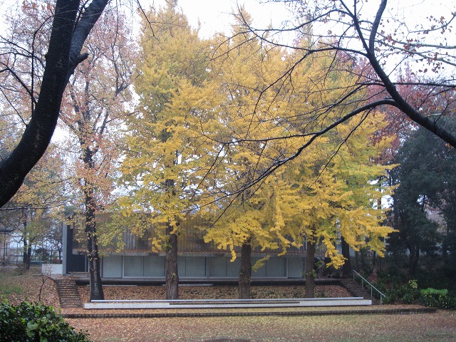 e0252672_178079.jpg