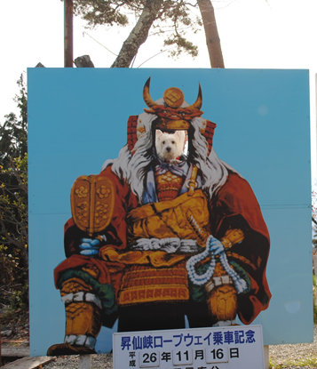 b0242873_01091053.png