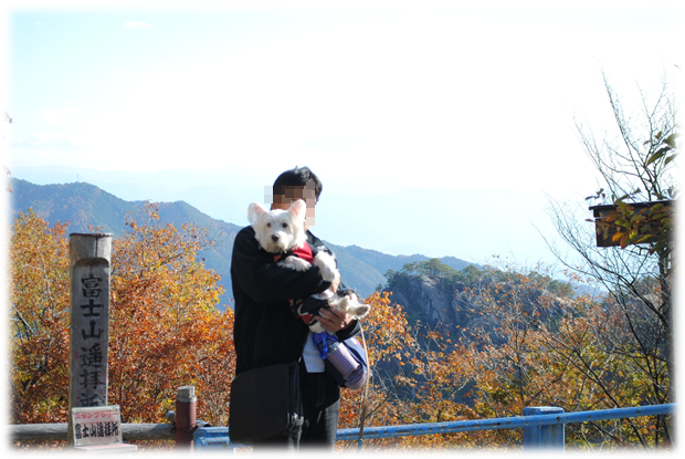 b0242873_01123093.png