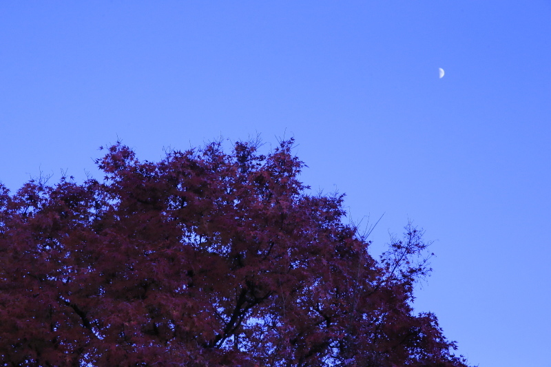c0268775_00062338.jpg