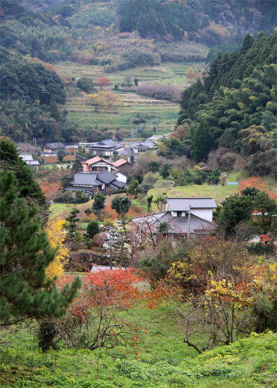 c0152779_946170.jpg
