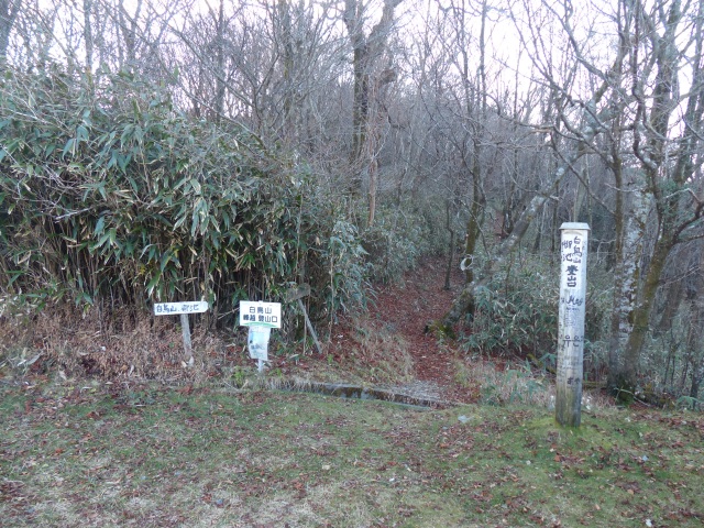 f0357487_20331460.jpg