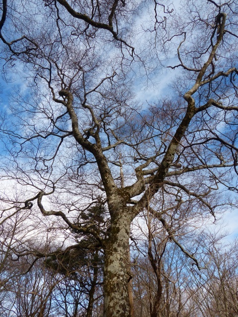 f0357487_20395940.jpg
