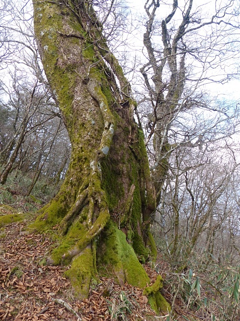 f0357487_20402435.jpg