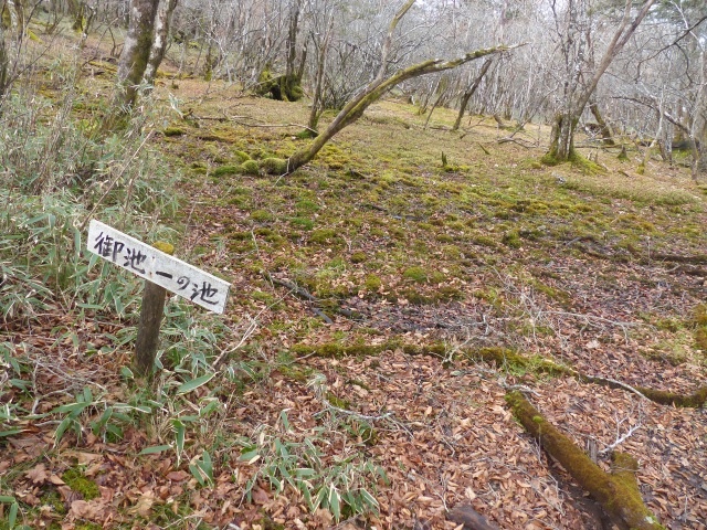 f0357487_2044021.jpg