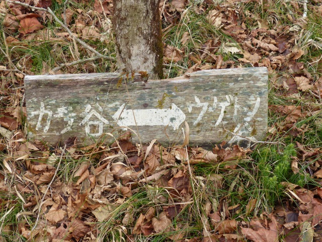 f0357487_20442337.jpg