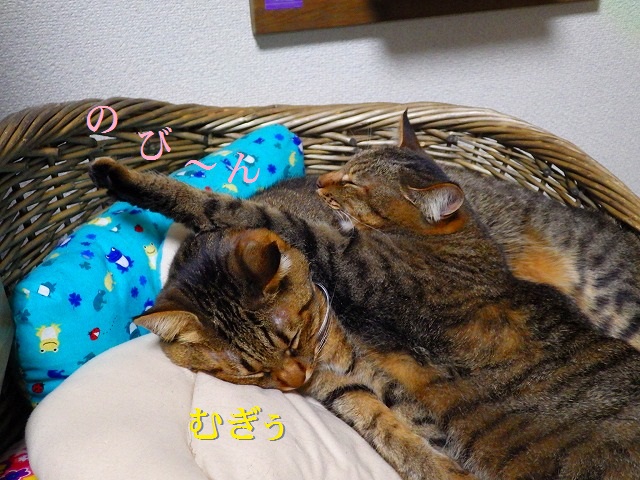 a0159490_14233870.jpg