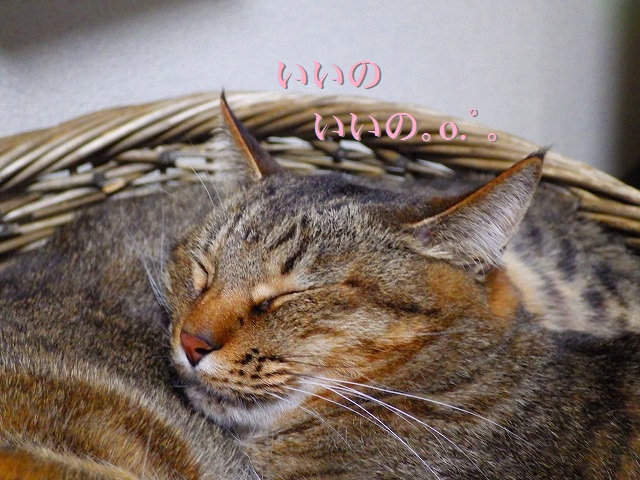a0159490_14235291.jpg