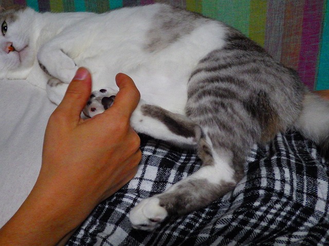 a0159490_1433123.jpg