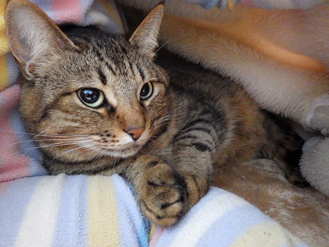 a0159490_14463619.jpg