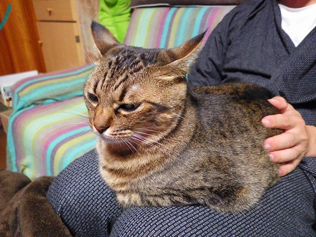 a0159490_14543519.jpg