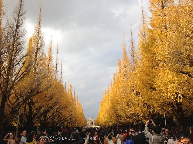 b0311190_11384866.jpg