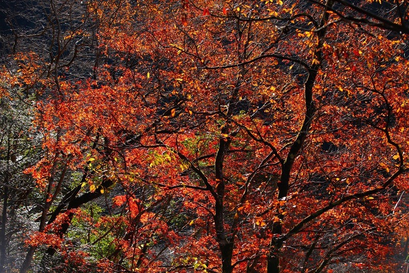 b0255992_16154362.jpg