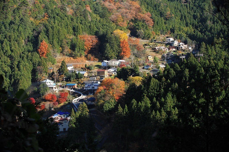 b0255992_1710347.jpg