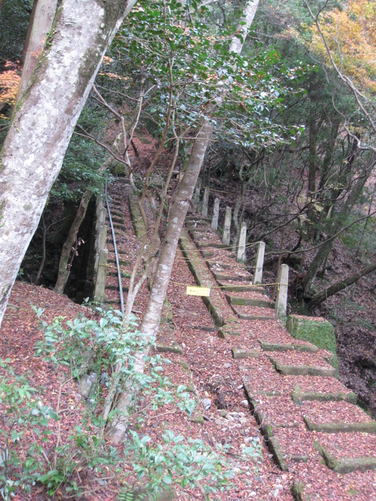f0010195_1720748.jpg
