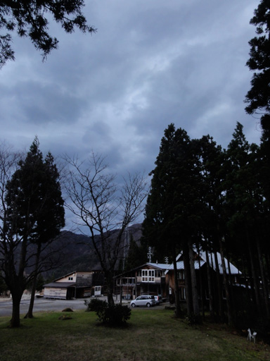 a0061599_736488.jpg