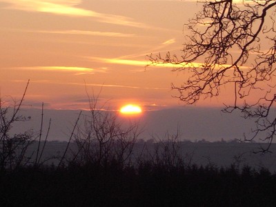 b0110999_1732146.jpg