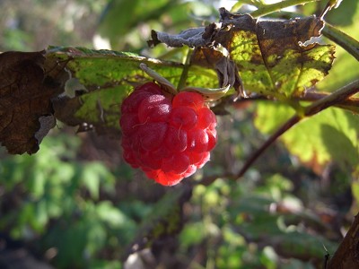 b0110999_275248.jpg