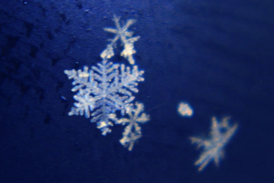 c0074000_2155930.jpg