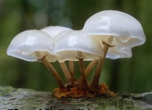 c0093101_21414087.png