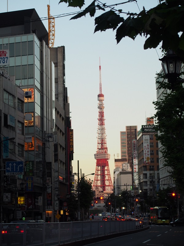 d0001008_19261665.jpg