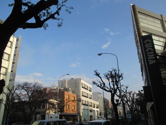 d0091909_1621206.jpg
